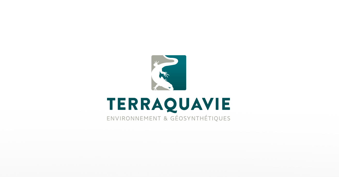Site Web, conception de logo et carte d'affaire pour Terraquavie Environnement & Géosynthétiques / 2020 - Réalisation signée Projex Media