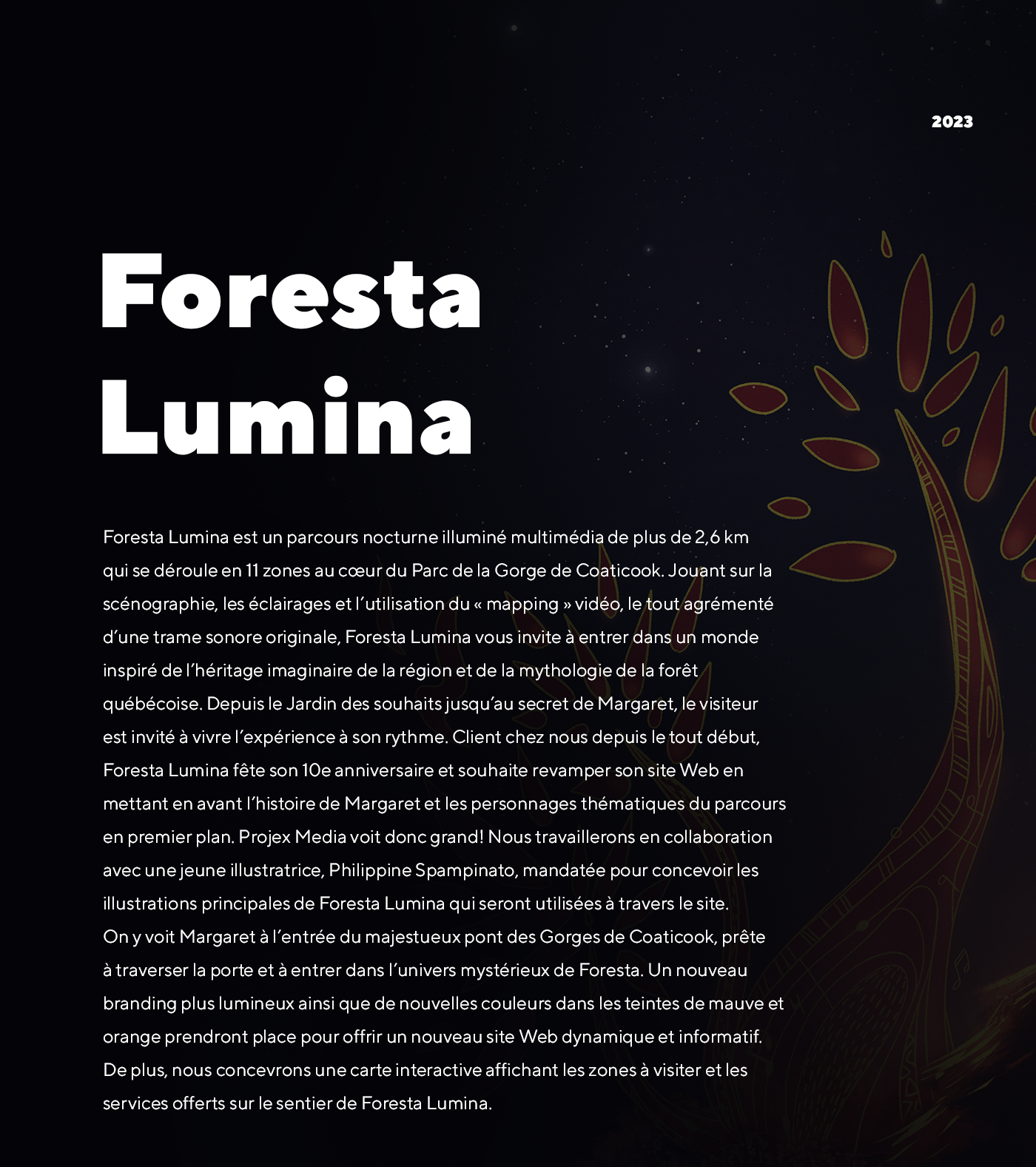 Foresta Lumina / 2023 - Réalisation signée Projex Media